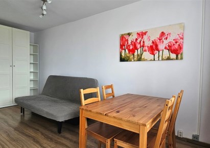 mieszkanie na wynajem - Tychy, U